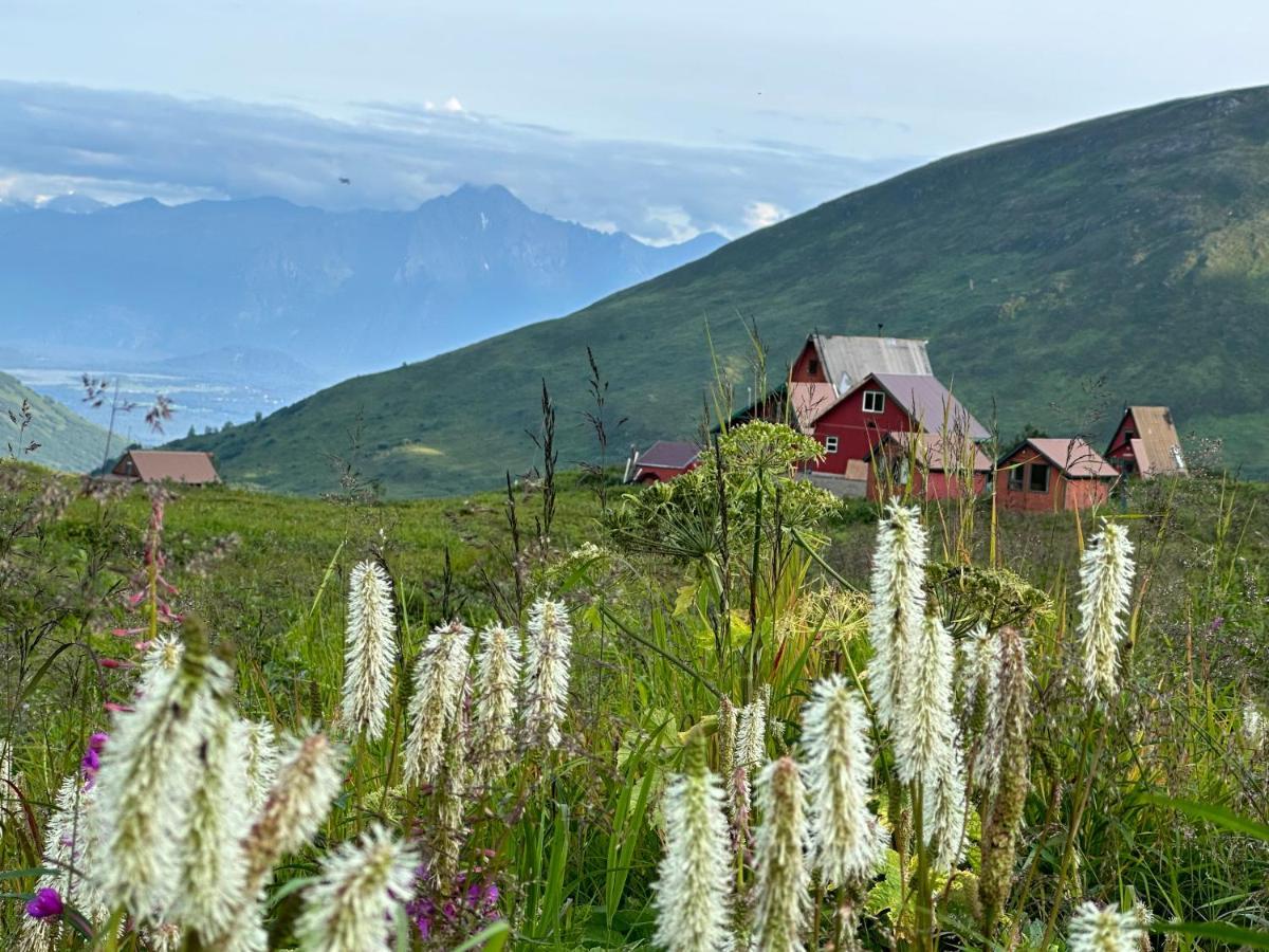 Ferienwohnung Beautiful And Comfy Palmer Gem Near Hatcher Pass Wasilla Exterior foto